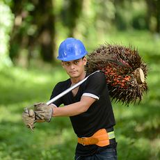Sustainability Chalkboard: 3x value/footprint