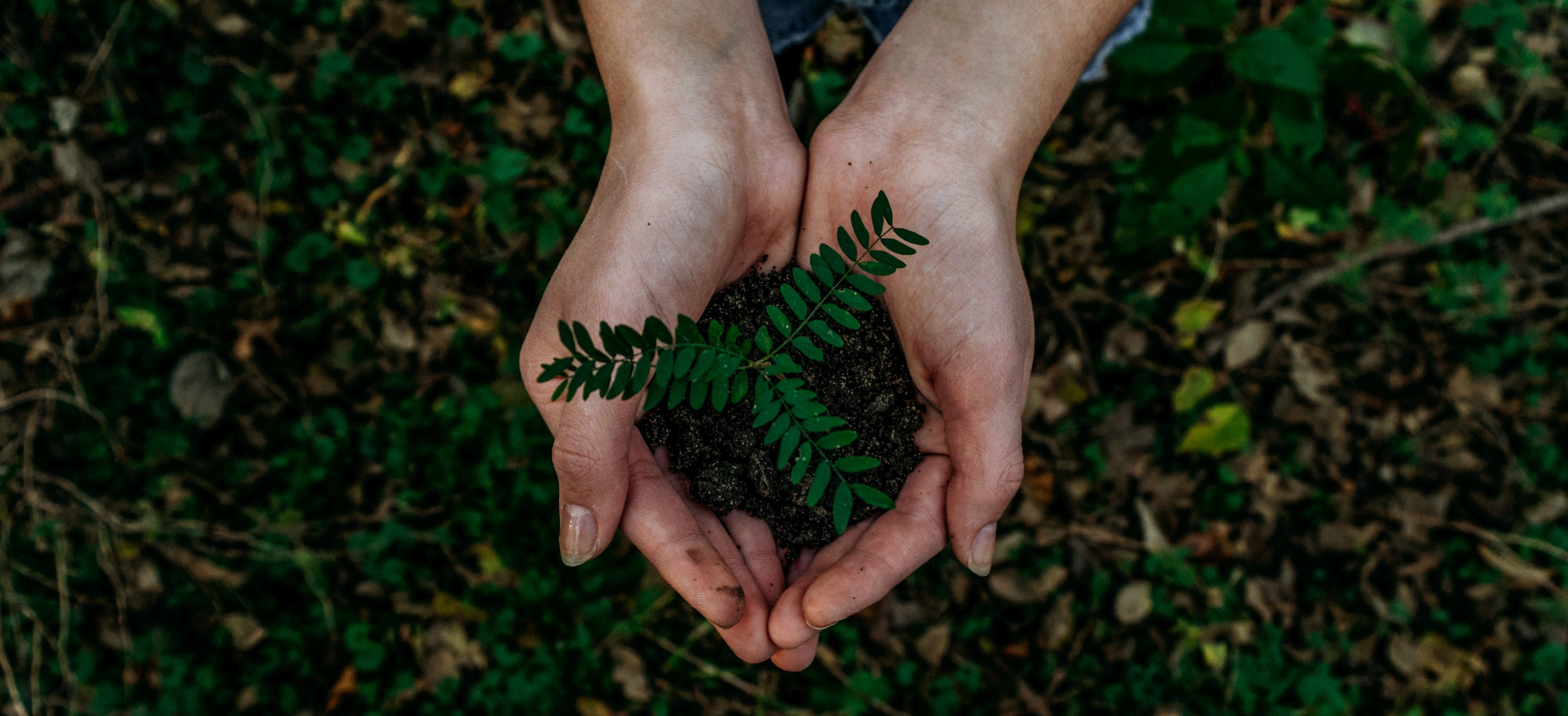 hands holding soil