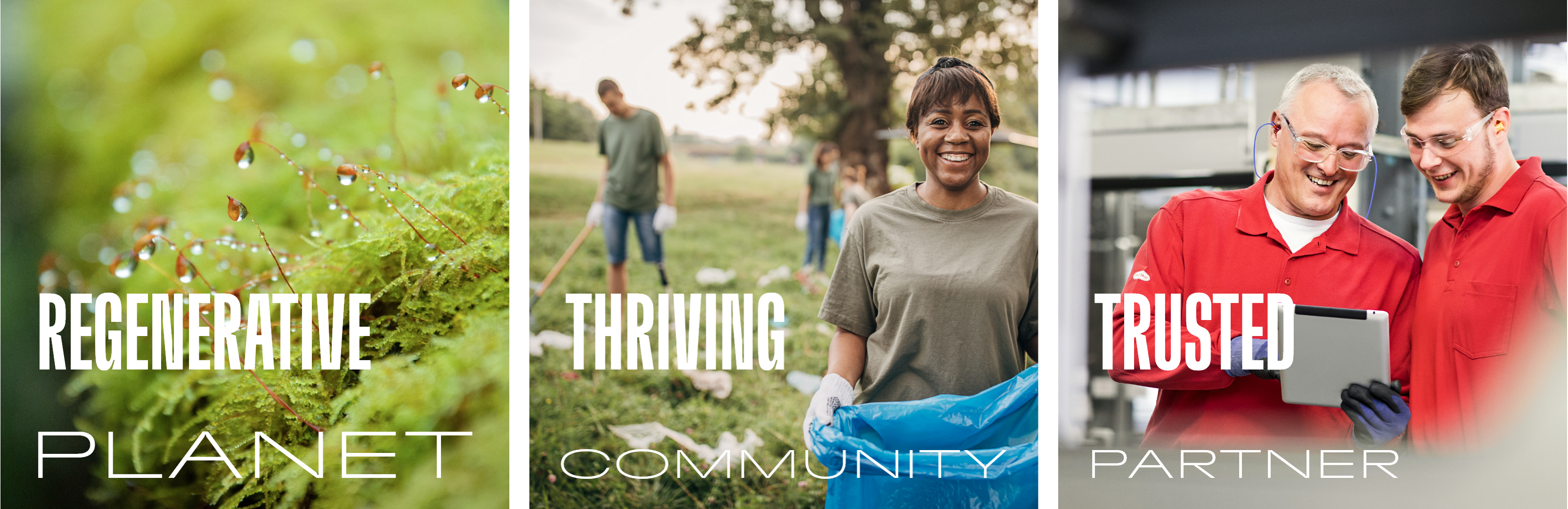 regenerative planet, thriving communities, trusted partner