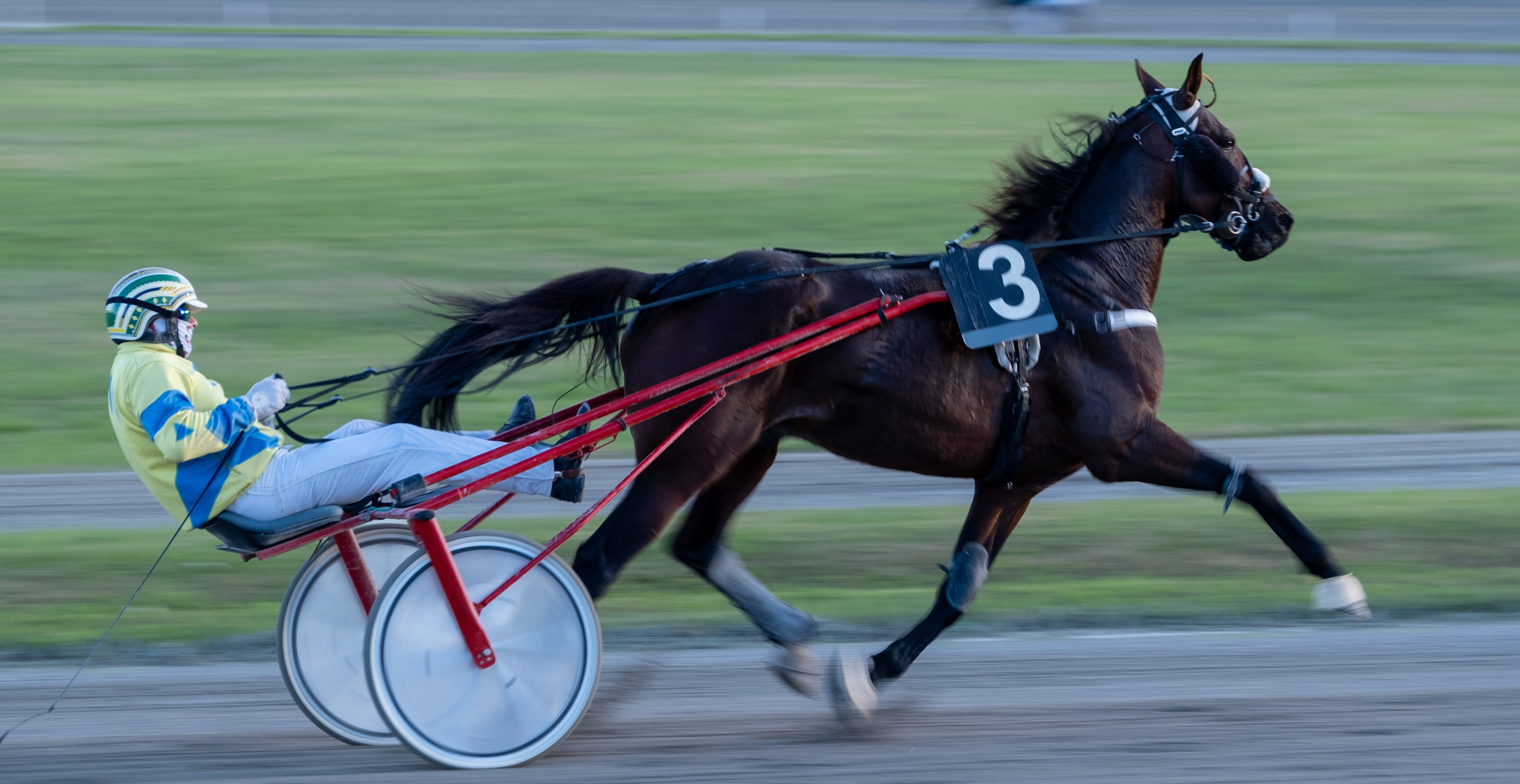 Delaware, Ohio is well known for its Harness Racing, most specifically the annual Little Brown Jug, a race that makes up a portion of the Triple Crown of Harness Racing.