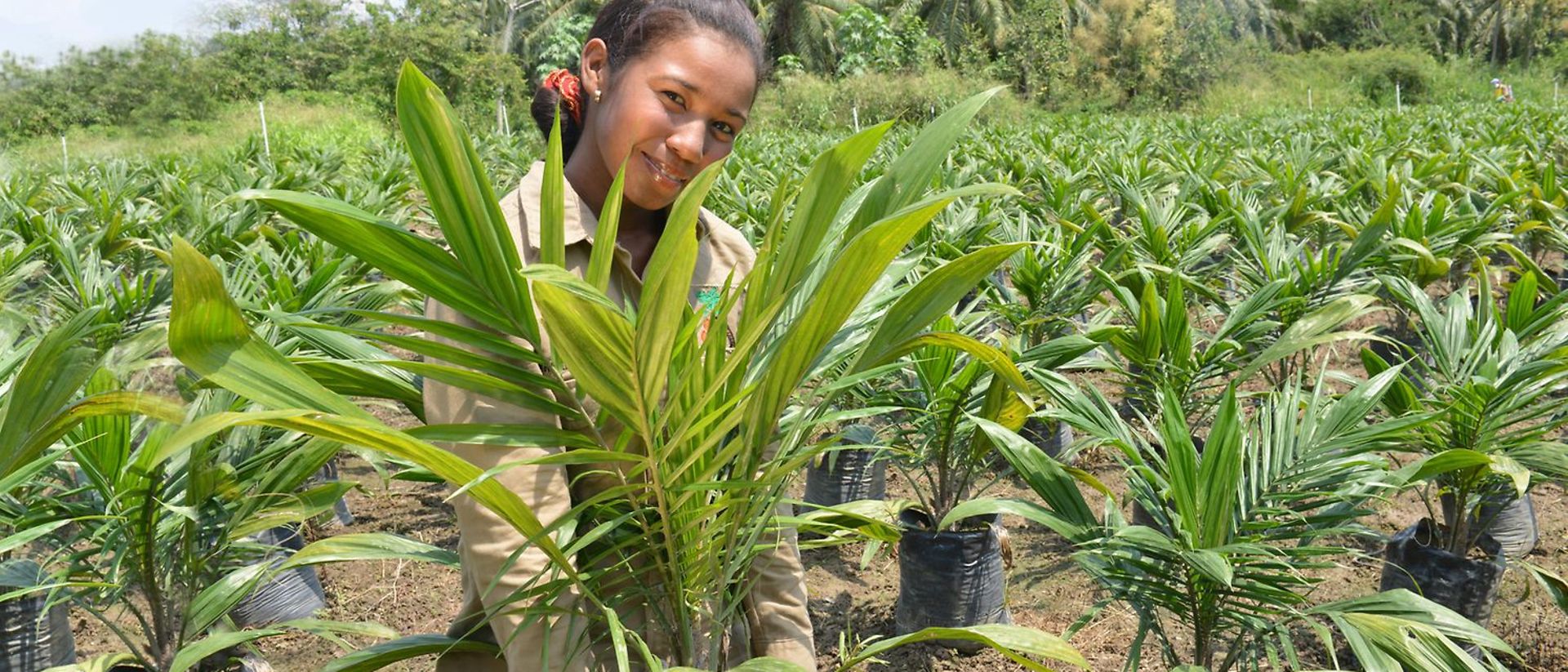 Una donna di colore in un campo di palme appena piantate.