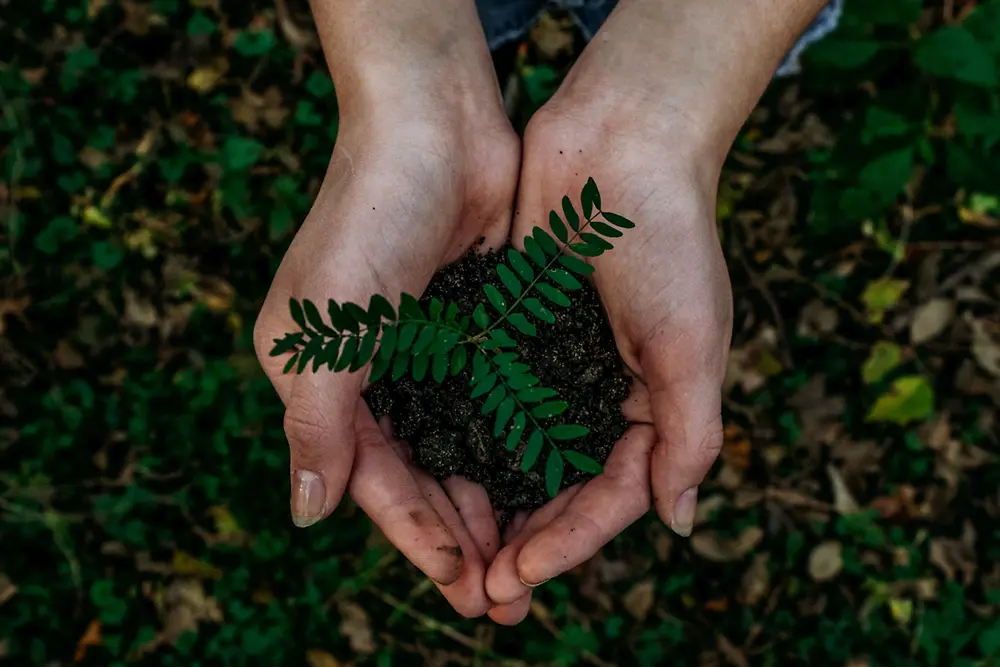 hands holding soil