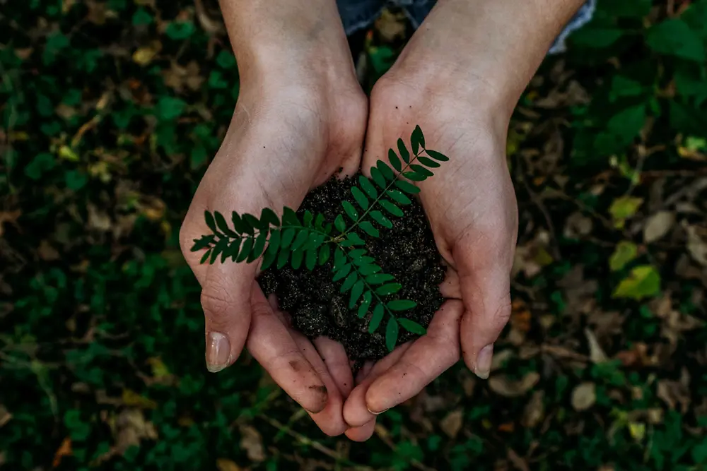 hands holding soil