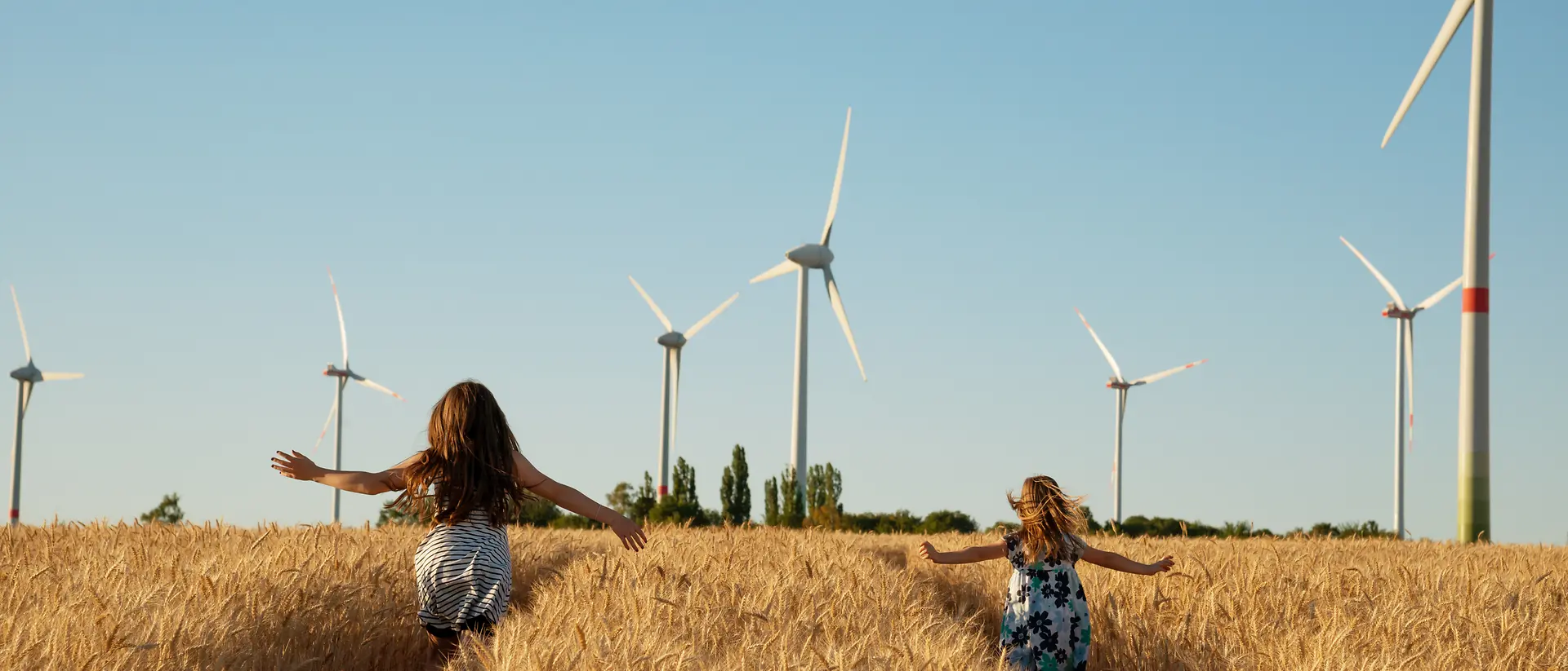 兩個女孩在玉米地裏奔跑，背景是現代的風車