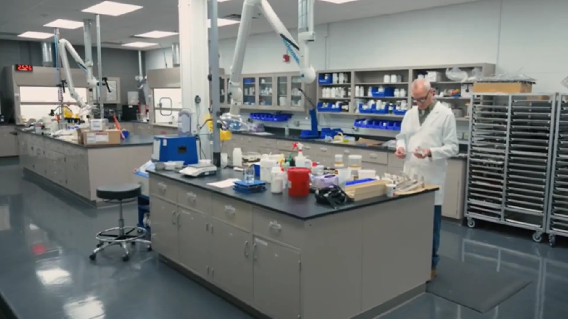 lab