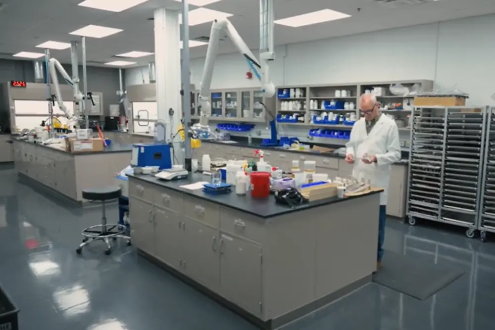 lab