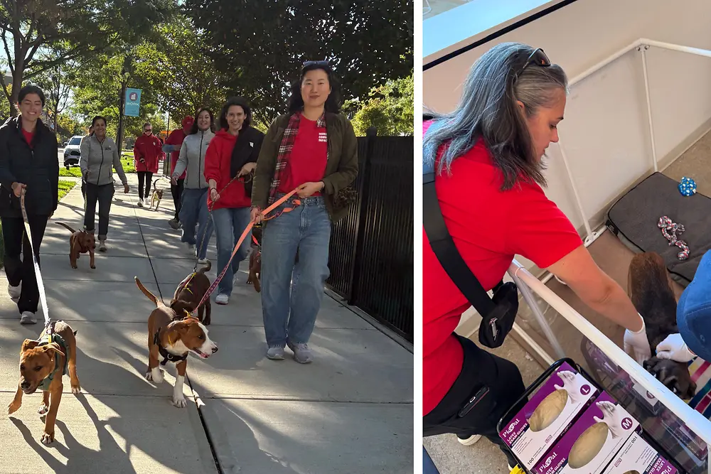 Henkel Employees Across North America Unite for a Day of Service