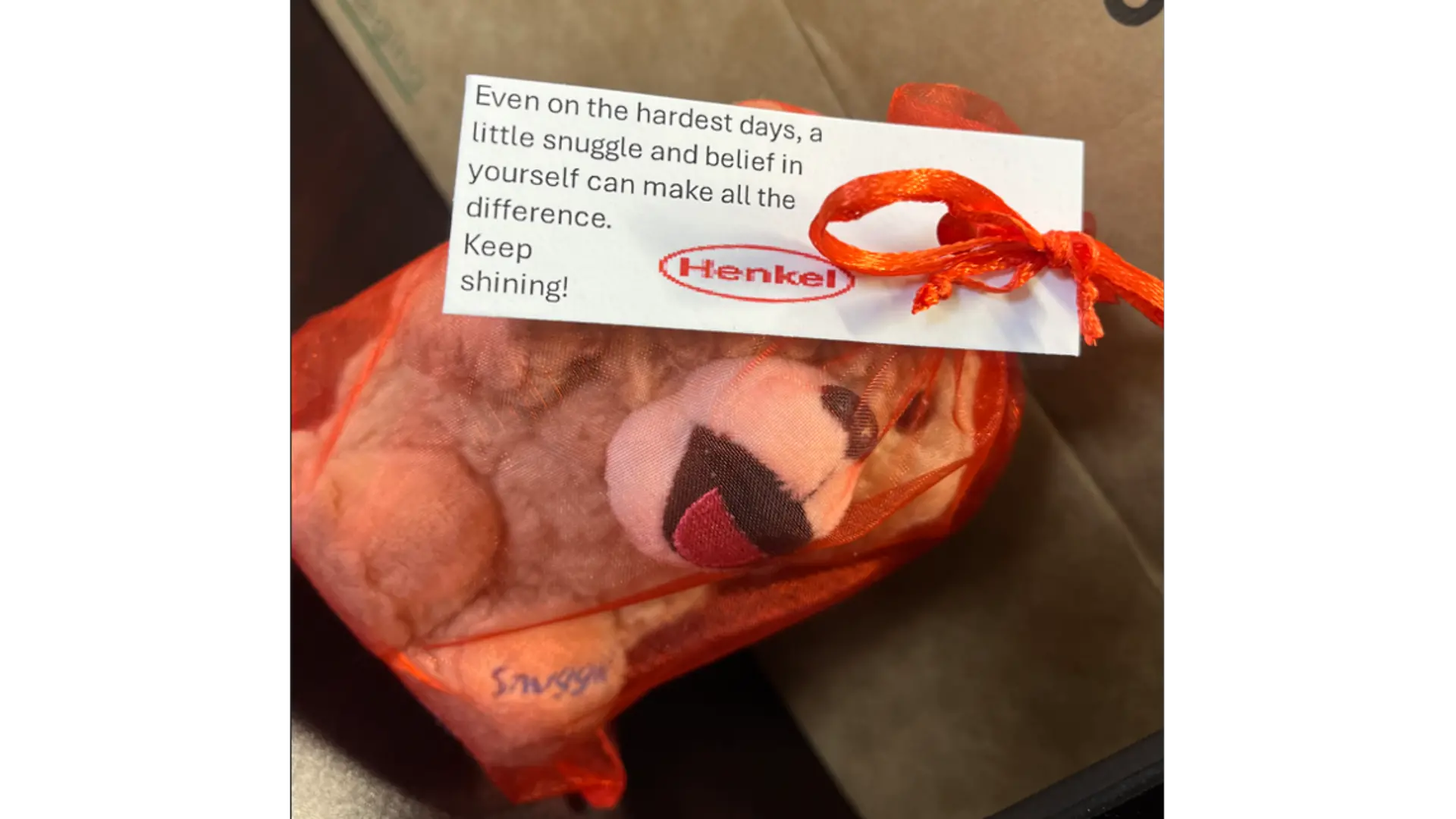 A small plush Snuggle® bear inside a sheer red drawstring bag and a white card with message that reads: “Even on the hardest days, a little snuggle and belief in yourself can make all the difference. Keep Shining!”