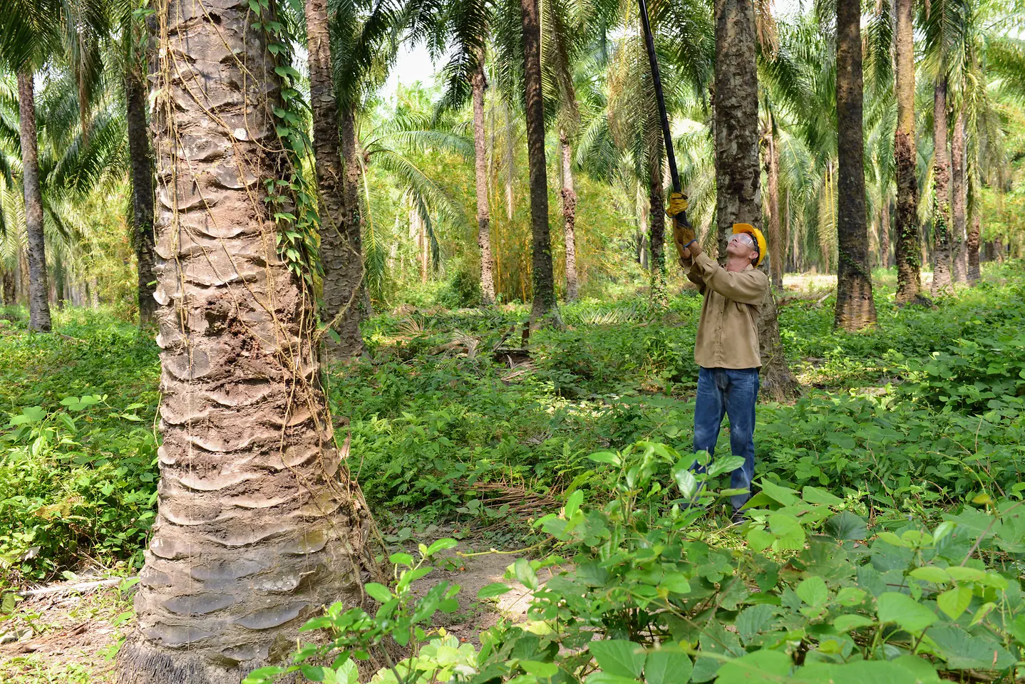 By 2030, Henkel wants to ensure that 85 percent of its suppliers meet defined sustainability standards.