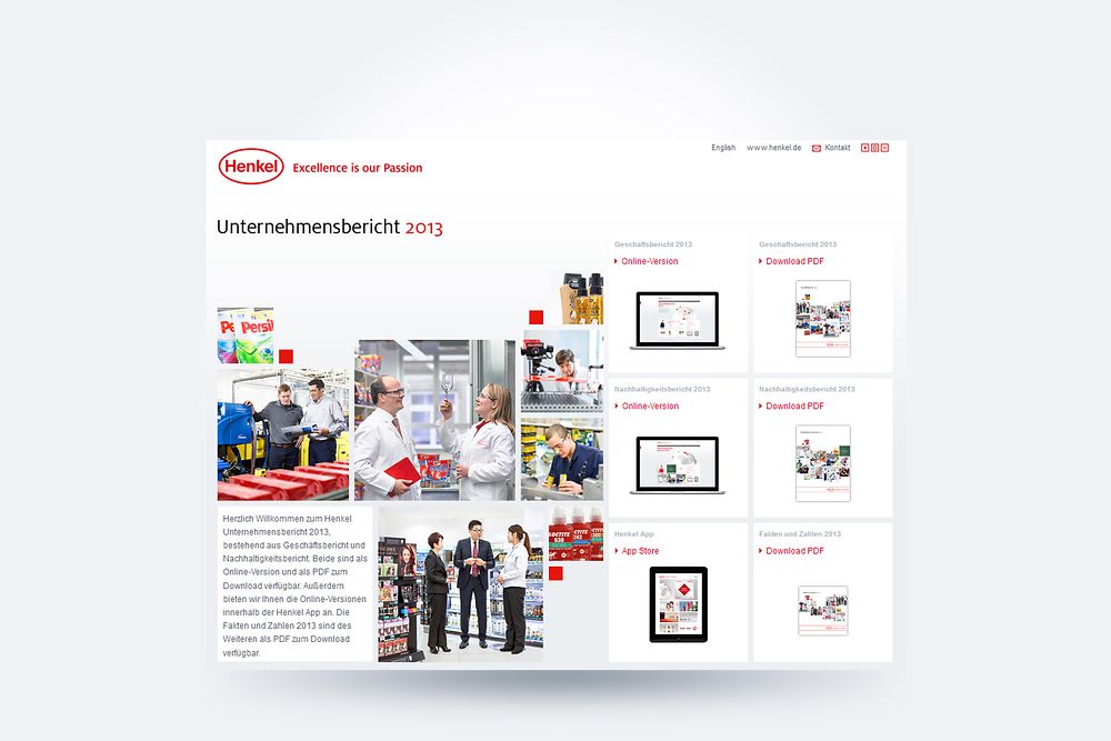 corporate-report-online-german-2013