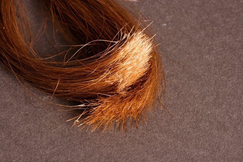 
A problem with longer hair: Split ends
