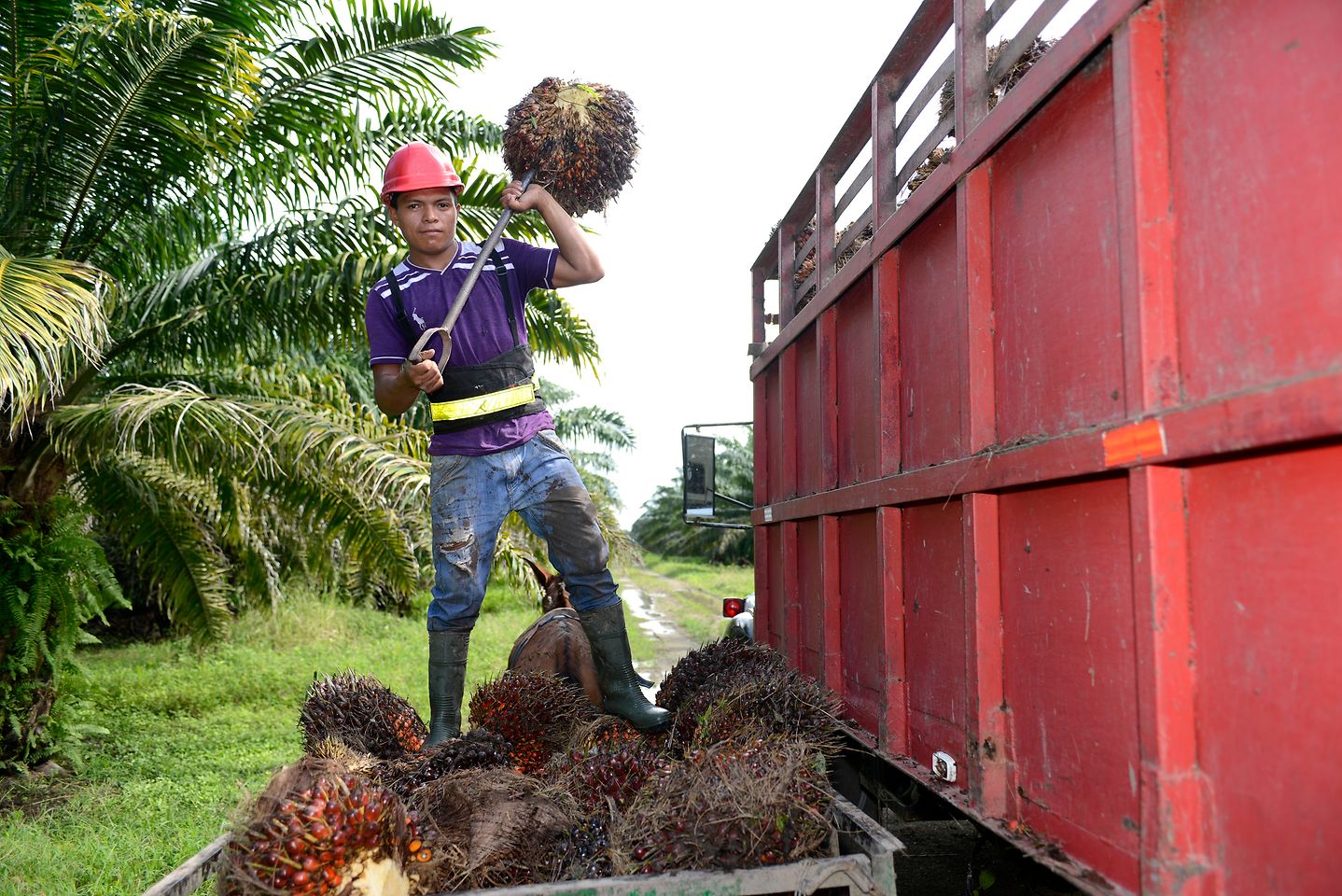 
Henkel verpflichtet sich dazu, nachhaltige Praktiken in der Palmölindustrie zu fördern und voranzutreiben. 