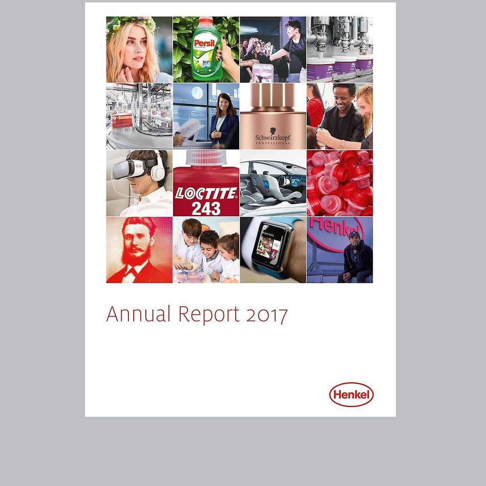Teaser Annual Report 2017