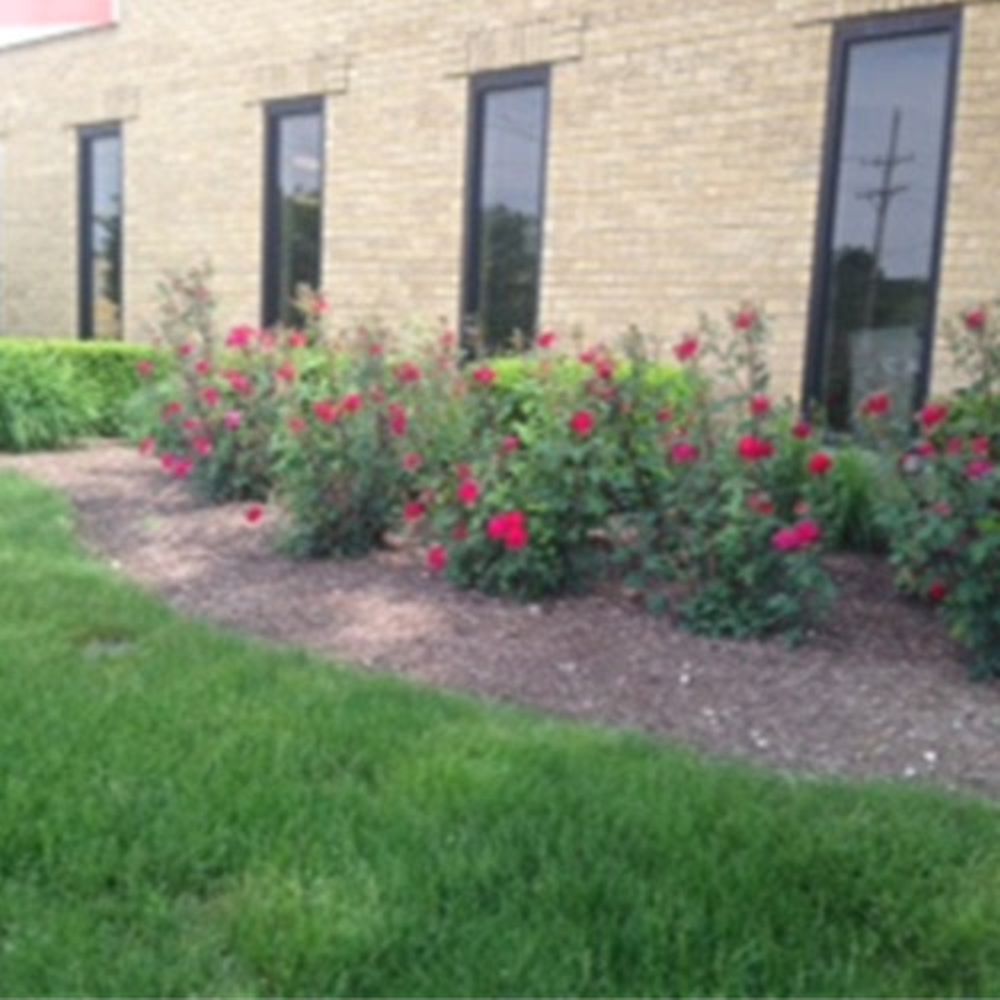 Location Henkel Corporation, Elgin, IL, United States