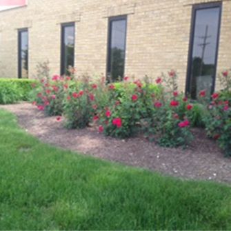 Location Henkel Corporation, Elgin, IL, United States