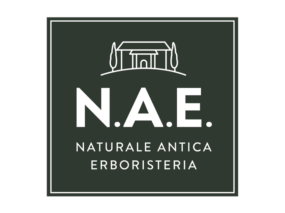 N.A.E logo
