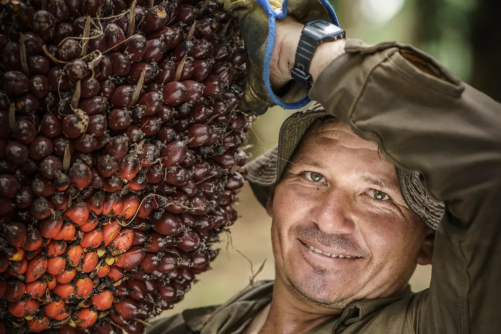 Palm oil farmer 